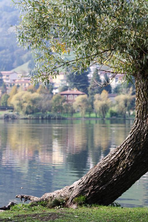 B&B Notte E Di Monasterolo del Castello エクステリア 写真